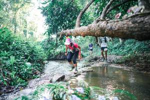 BIB: 
                            <button type="button" onclick="openModal(25433667)" class="btn btn-primary btn-sm float-right btn-popup" data-toggle="modal" data-target=".modal-high-quality">
                        <i class="fas fa-shopping-cart"></i> Add to Cart
                    </button>
                                            <button type="button" onclick="isThisMe(25433667, true)" class="btn btn-success btn-sm float-right btn-popup btn-isme hidden" data-toggle="tooltip" data-placement="bottom" title="นี่คือรูปของคุณใช่ไหม คลิกที่นี่เพื่อเอาเข้าอัลบั้ม">
                        <i class="fas fa-plus"></i> Add to album
                    </button>
                    <button type="button" onclick="isThisMe(25433667, false)" class="btn btn-warning btn-sm float-right btn-popup btn-isnotme hidden">
                        <i class="fas fa-ban"></i> Remove from album
                    </button>